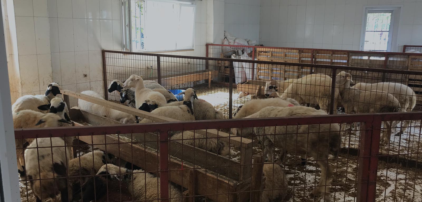 Adak Bağışı Ümraniye Aşevi